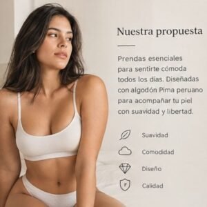 Inicio hippa w 001